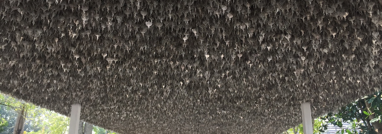 Iure nesciunt necessitatibus inventore aperiam.